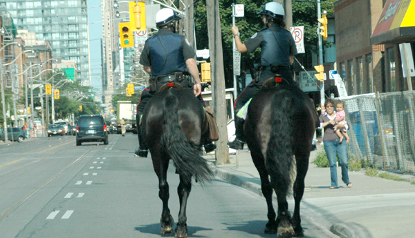 Policía de Toronto realiza campaña de seguridad peatonal.  Foto: V. Aguilar.