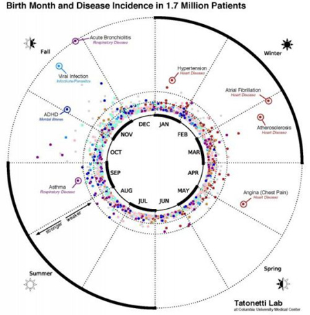 Los datos de visualización estadísticos de esta gráfica muestra la relación entre los meses, las enfermedades y la incidencia de las patologías en la base de datos de 1.7 millones de pacientes de la ciudad de Nueva York. (Dr. Nick Tatonetti/CUMC)