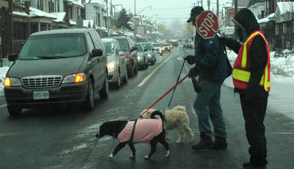 Un hombre con sus mascotas es ayudado a cruzar la calle. Foto: V.Aguilar