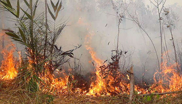 Evacúan a comunidades indígenas de Manitoba a Niagara Falls por incendios forestales